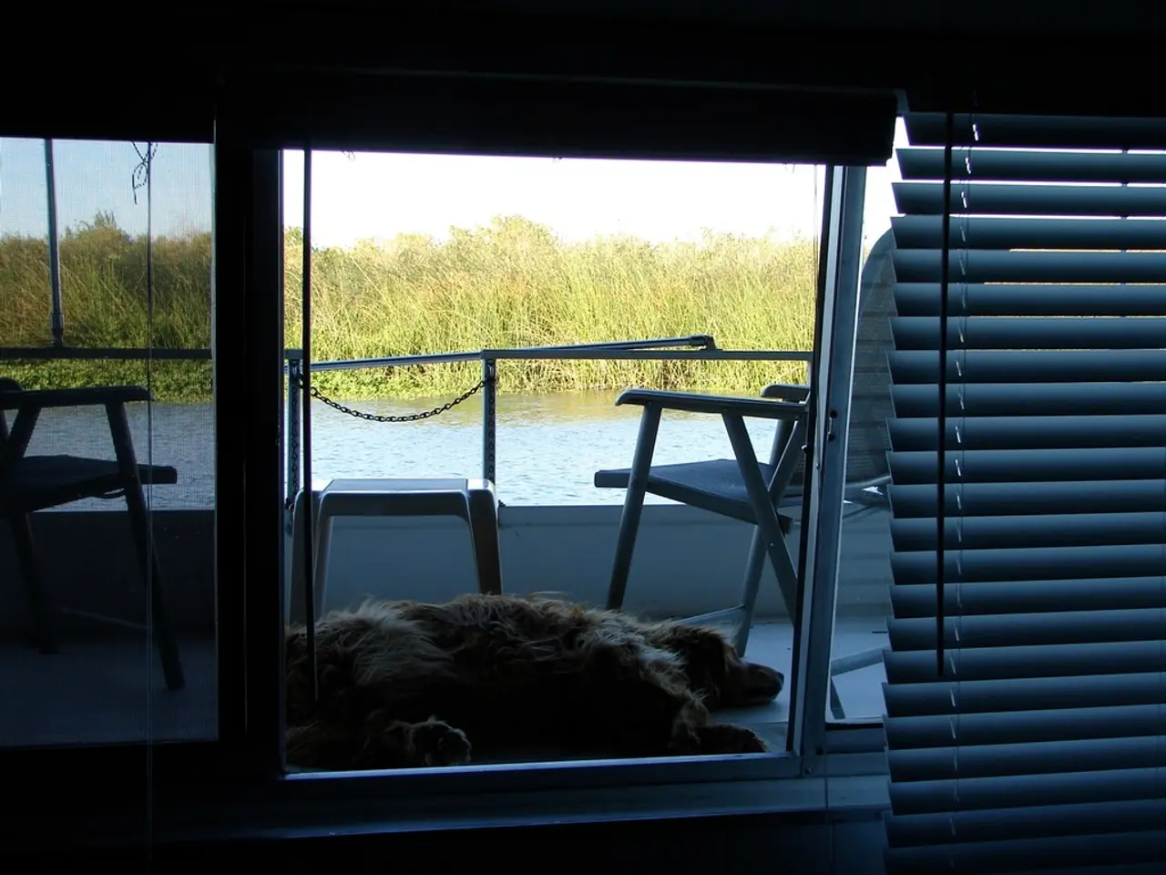 Safeguarding Your Canine Companion During Summer: Essential Guidelines