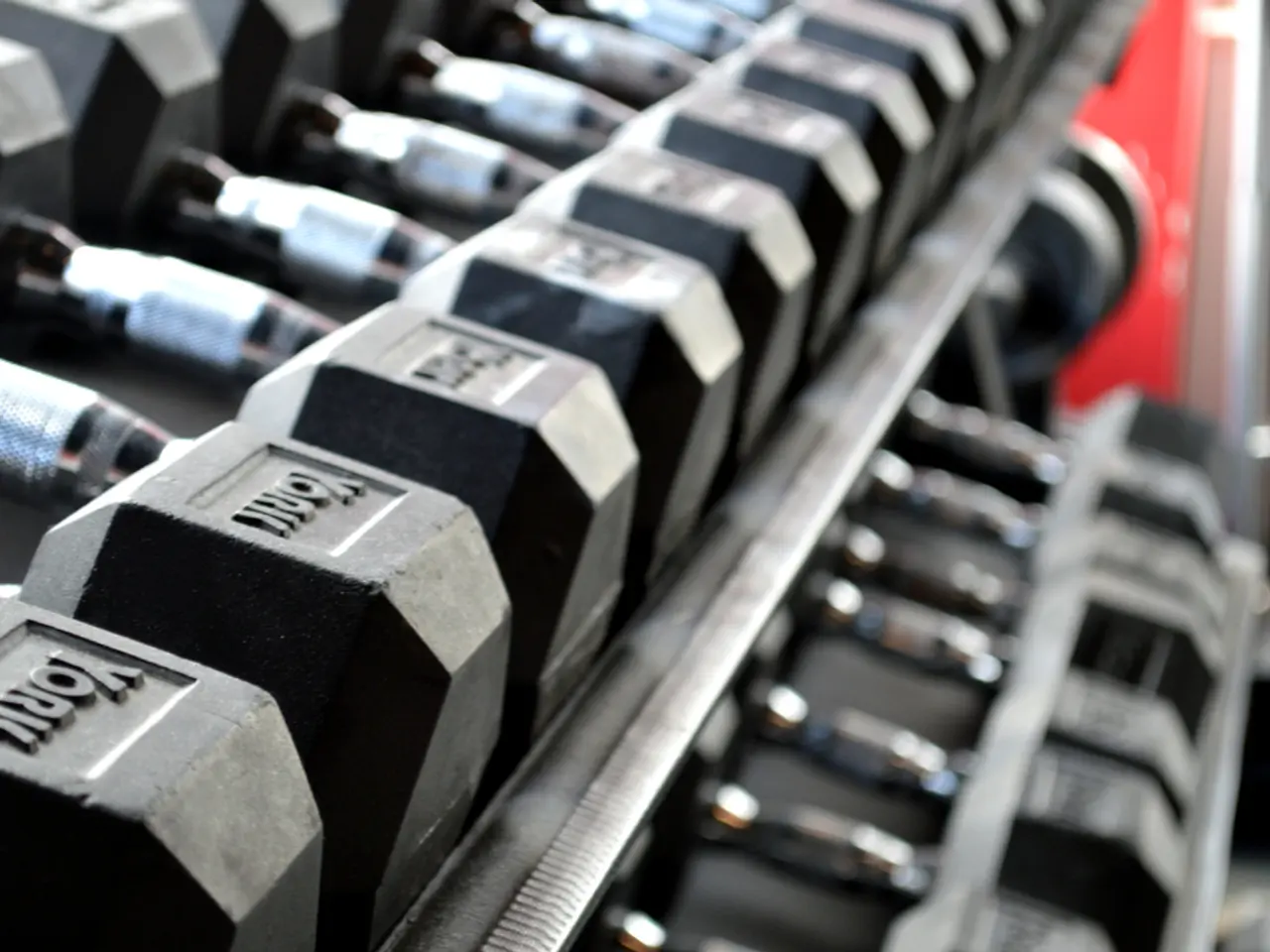 A home gym isn't fully equipped without hex dumbbells, and you can obtain a great weight for...