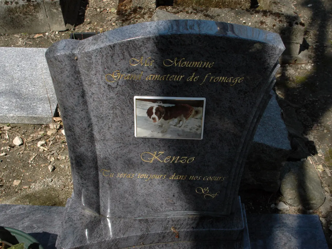 Access to Deceased Individuals' Records Category