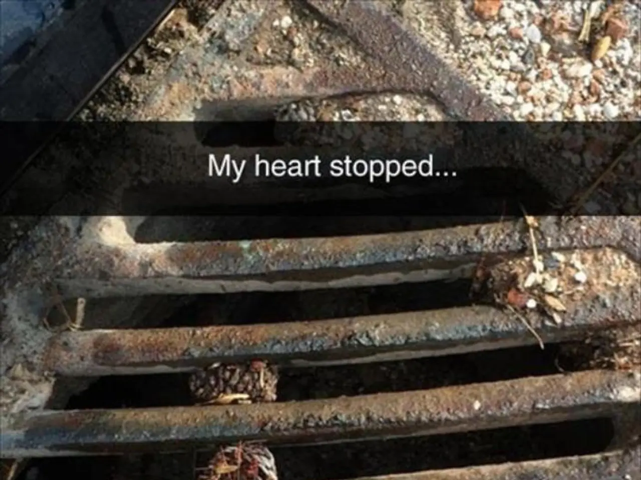 Valve Leakage in the Heart: Origins, Signs, and Remedies