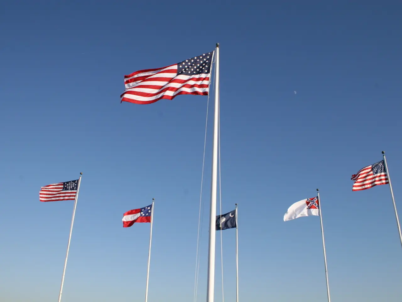 Immunological Disorders: Classifications, Indications, Origins, and Further Insights