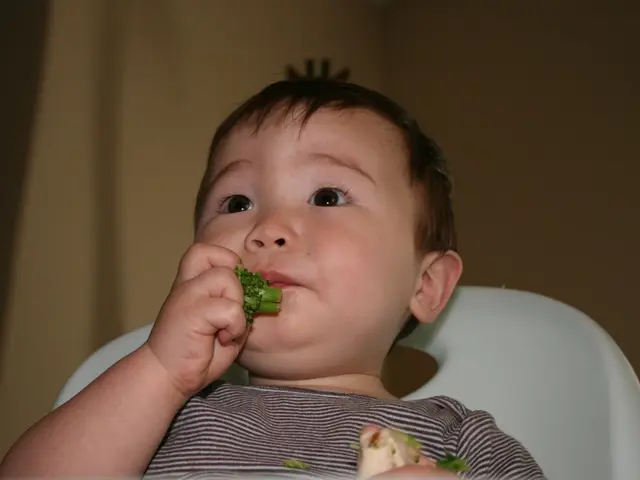 Food Dyes' Effect on Kids' Behavior: A Closer Look at the Connection between Artificial Colors in...