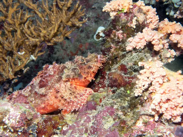 Residing in proximity to coastlines contaminated with microplastics may potentially harm your...