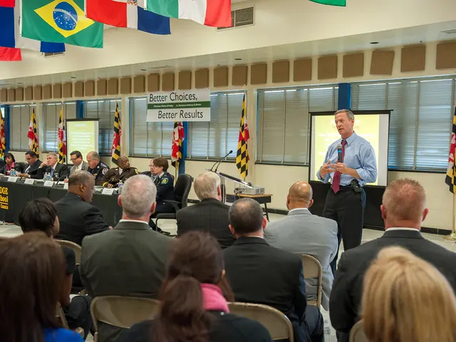 Temporal Lobe Description: Definition, Roles, Position, and Effects