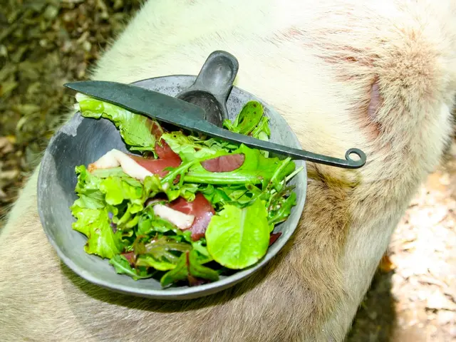 Intestinal inflammation leading to diarrhea, abdominal pain, and fever: Understanding origin,...