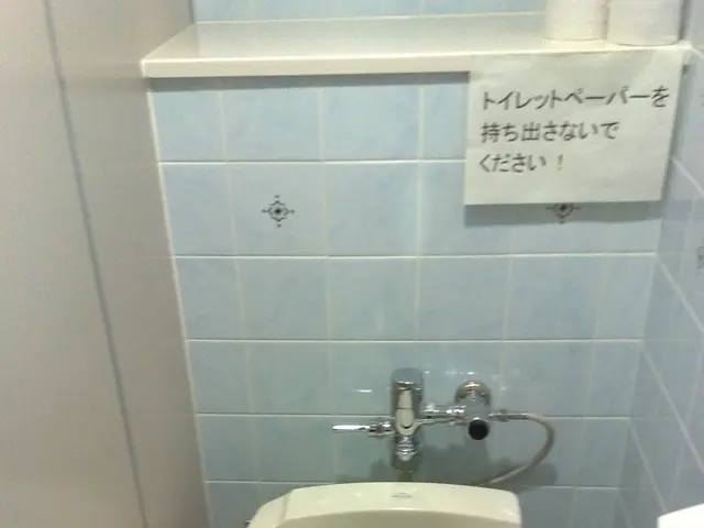 Incorrect Toilet Paper Usage: Aocalypse Now for Millions of Germans