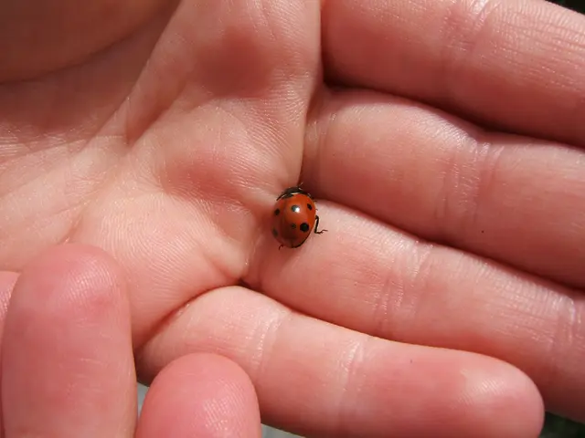 Hand Cramp Symptoms, Potential Causes, and Home Treatment Strategies