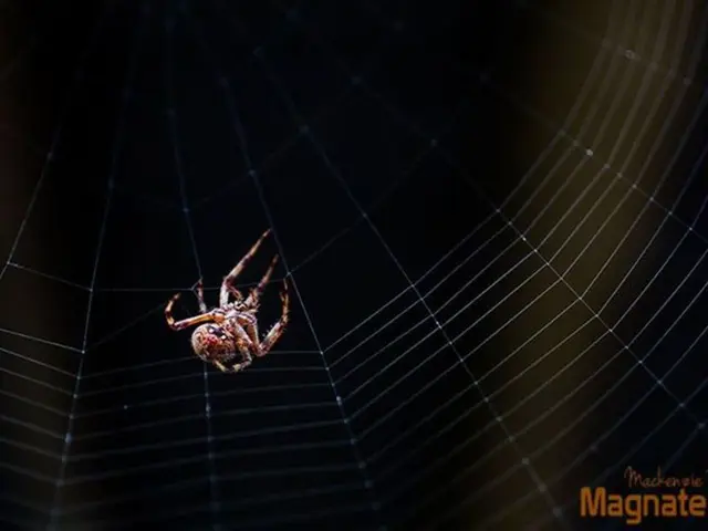 Interpreting the concealed significance of the visual imagery within your dream