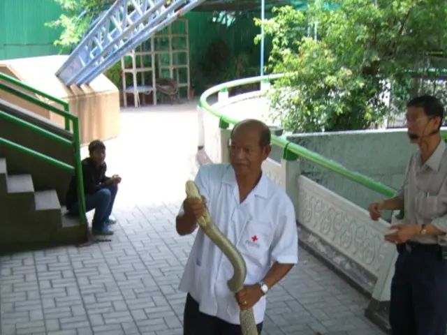 Fears and their manifestations, classifications, origins, and methods for alleviation