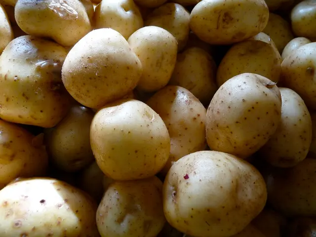 Strategies for Consuming Potatoes Without Sweating Calorie Count: Easy Guidelines