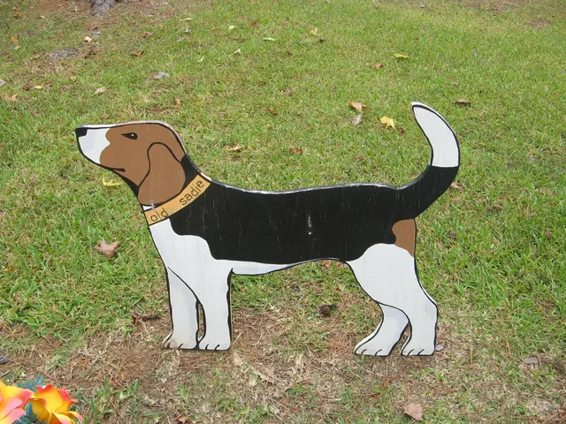 Job Opening: Position for Veterinary Specialist at Sindhuli Veterinary Hospital in 2082