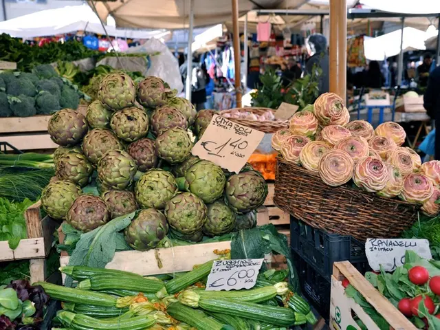 Proposal for a Worker Radiation Safety Directive requested by the Commission concerning risk...