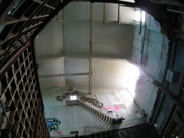 Daily Iron Consumption, Benefits, and Edible Sources