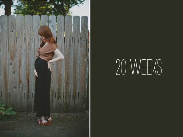Pregnancy Week 17: Symptoms, Hormonal Changes, Fetal Development