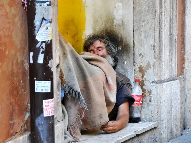 Exploring the Mental Calming Properties of L-Theanine and Lemon Balm: Their Purported Advantages