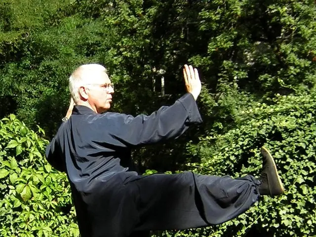 Vienna's USI Offerings: Top-Ranked and Bizarre Courses