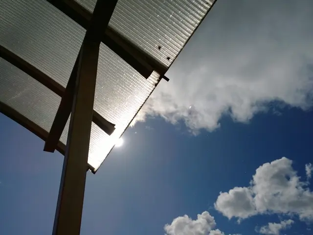 Top Six Preventable Factors Contributing to Asthma