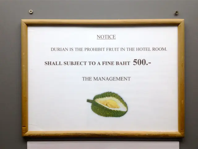 JackfruitNutrition and Health Advantages