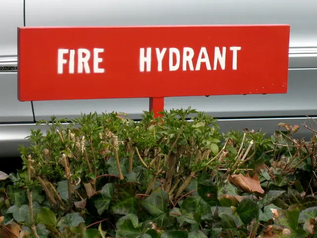 Top 6 Lead-Free, Non-Toxic Garden Hoses Safe for Drinking Water