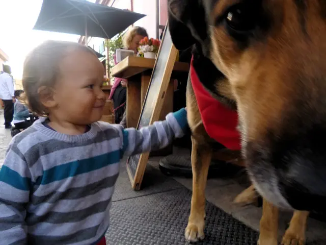Adolescent Boy, Age 13, Makes Medical History as First to Successfully Overcome Terminal Brain...