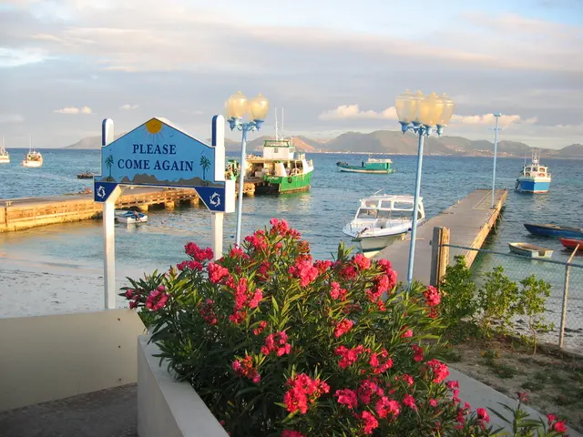 Heavy Rain Transformed into a Sense of Tranquility that Night