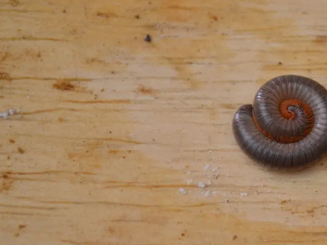 Disposable Pads Enhanced for Urinary Incontinence: A Practical Option for Additional Protection