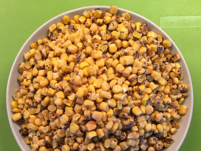 It's been debated: Are seed oils harmful to one's health?