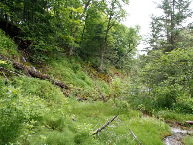 Strategies for Efficient Use and Conservation of Resources to Ensure Human Existence