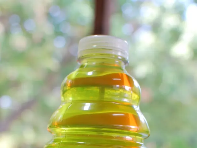 Experience Summer Comfort Through Ayurveda: Discover 10 Dietary Choices to Naturally Balance Your...