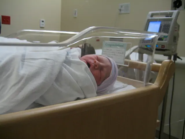 Artificial Insemination: Methods, Steps, and Potential Complications