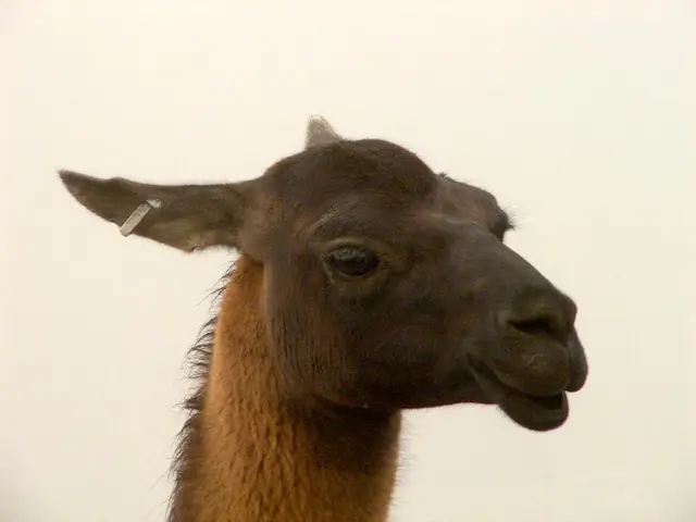 Swelling in Preauricular Lymph Nodes: Understanding the Possible Causes