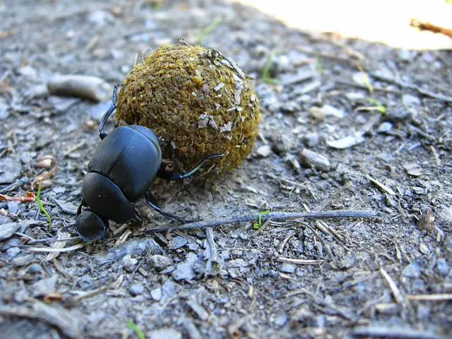 Itchy legs: Exploring causes, symptoms, and providing relief for the discomfort.