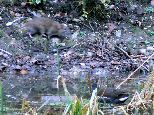 101 astonishing tidbits to astound you