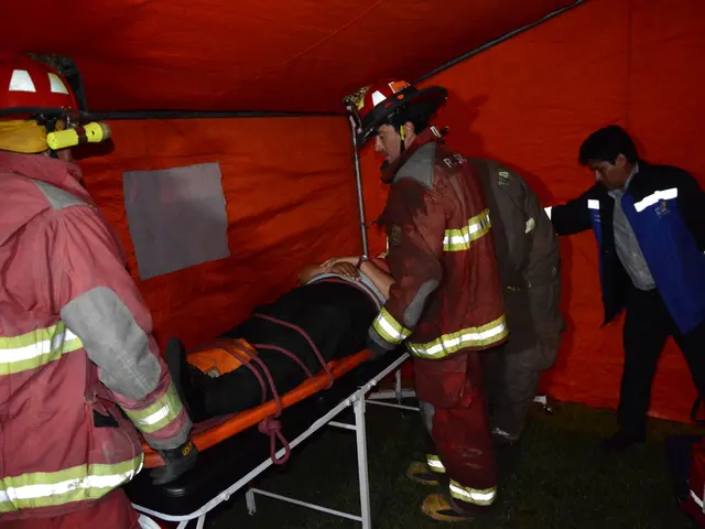 Volta Medical expands the U.S. label for its Volta AF-Xplorer device