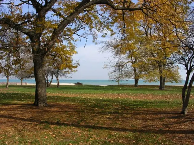 Investigating the Relationship Between Mental and Physical Health: The Role of Chiropractic...