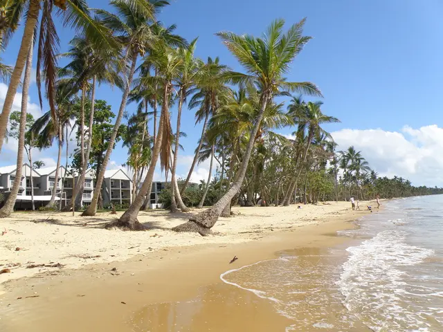 Beachgoers Offered Complimentary Sunscreen