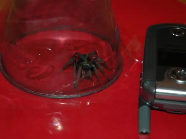 Online Course Focused on Single-Cell Analysis in Cancer Biology