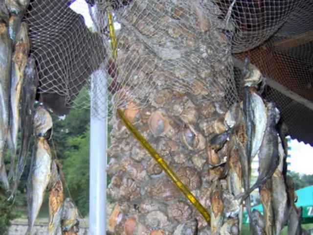 Uncovering the Hidden Workshops Within Your Body: Revealing the Sites of Hormone Synthesis