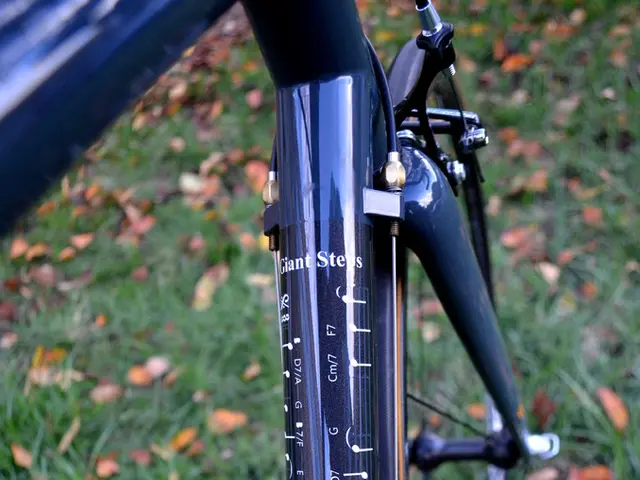 Affordable, dual-sided pedals, ideal for post-hip operation stability, currently discounted by 26%...