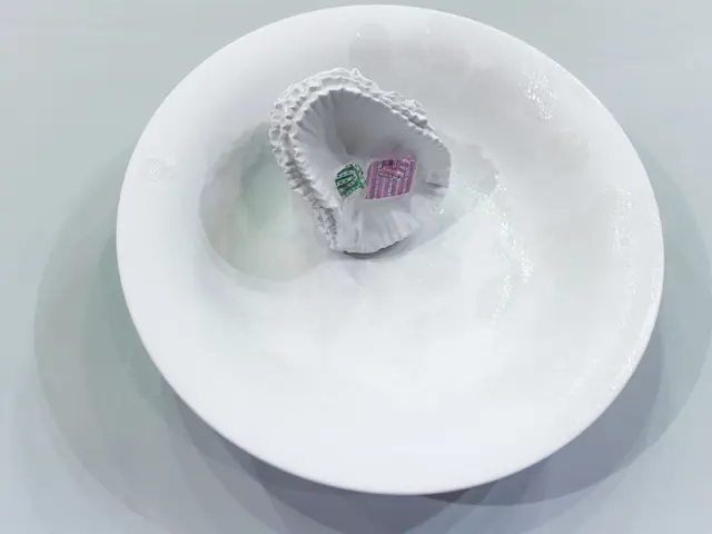 Medicare Plan F Coverage: Eligibility Criteria, Expenses, and Continuation Details