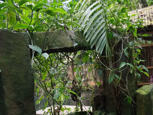 Abandoned Oil and Gas Wells in the US: Understanding the Process to Seal Them