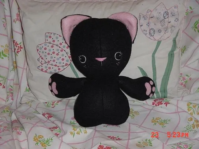 Essential Books Exploring the Link between Psychology and Physical Health