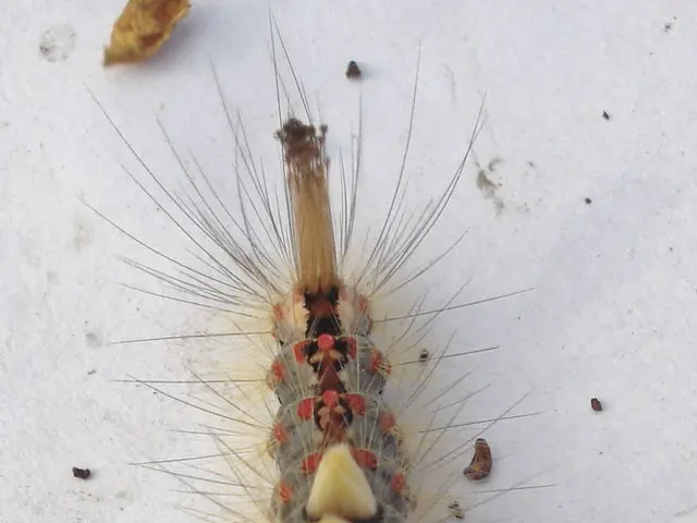 Measurements of ultrafine dust in Offenbach show a continuing low load