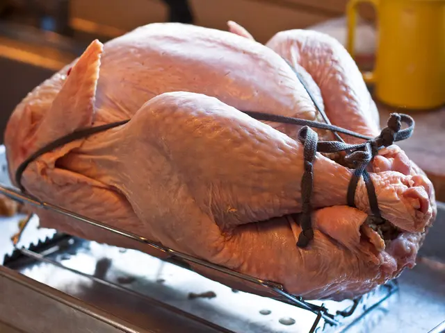 Scientists Produce Lab-Grown Chicken Nuggets in Experiment