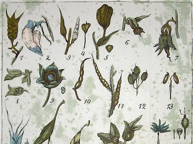 Modification of Genetic Composition May Reference Changes to Essential Genes