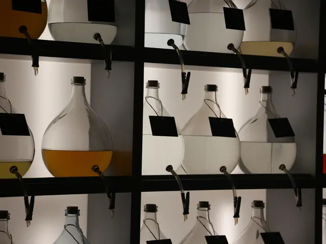 Recognizing Features: A Guide to Identification