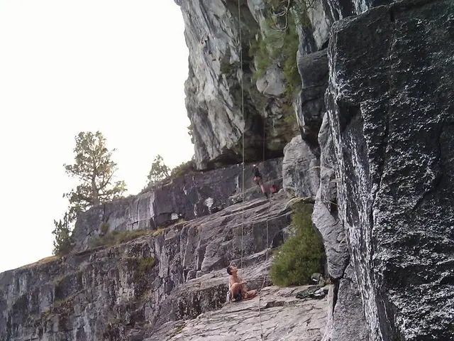 Enhancing Health and Physical Performance through Human Growth Hormone (HGH)