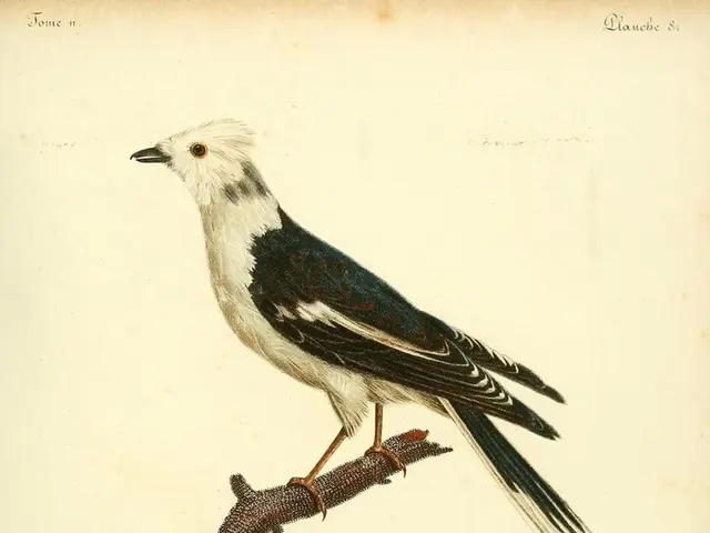 Impact of Human Existence Preservation and Hindsight Bias Insights