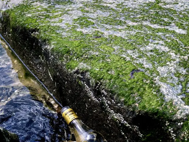 Toxic bloom of algae discovered in Aartalsbarre