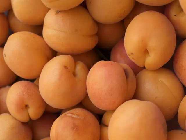 Benefits, Nutritional Information, and Storage Tips for Mandarin Oranges